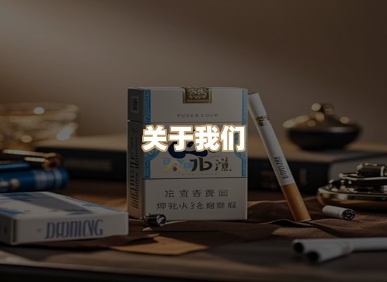关于逸客网